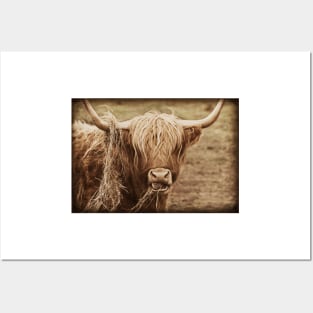 Highland Cow Posters and Art